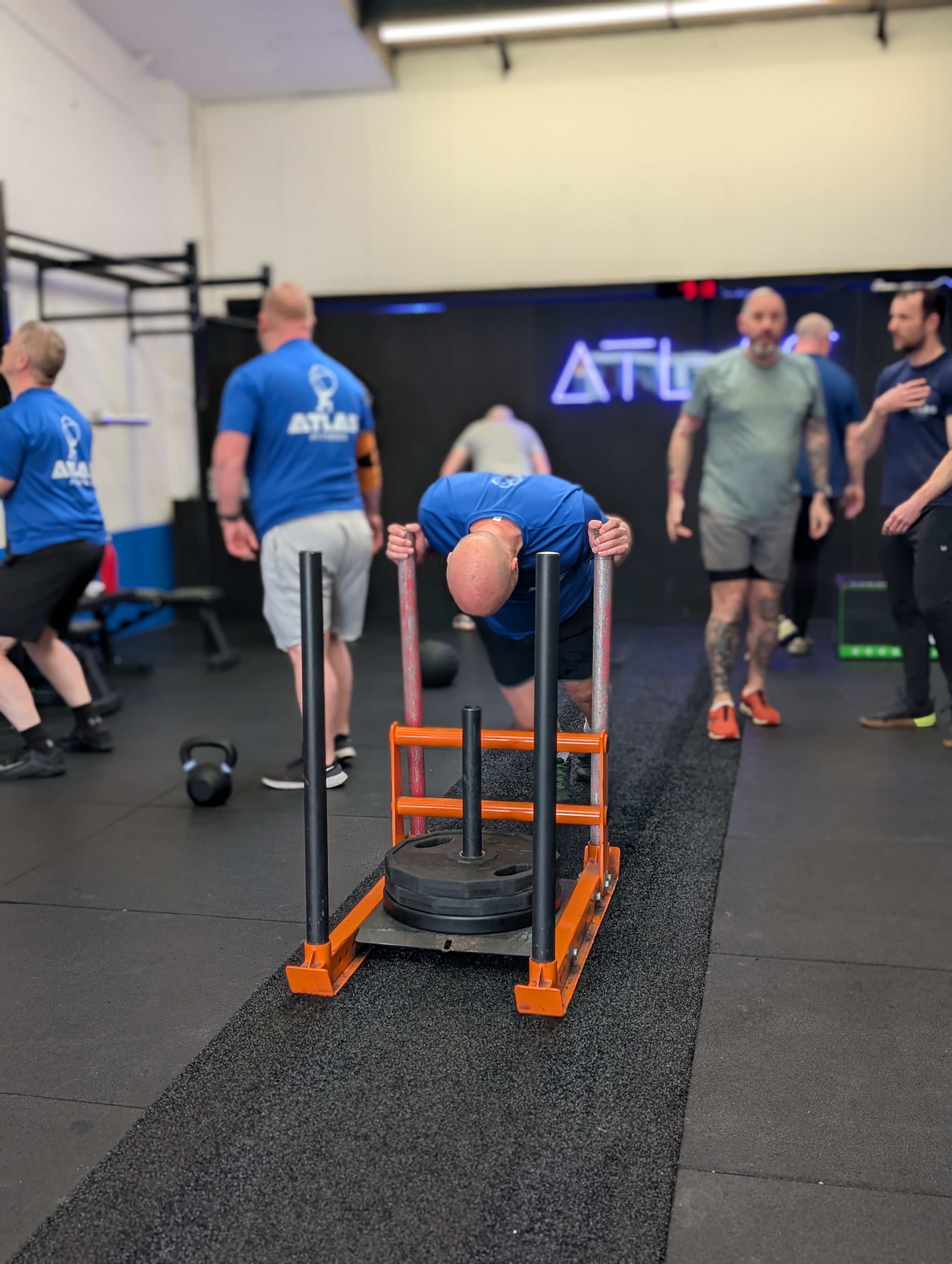 York member success